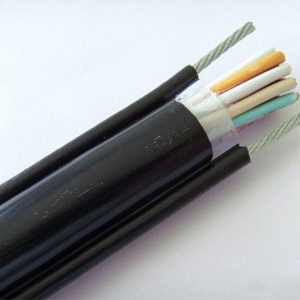 電纜.jpg 電纜.jpg