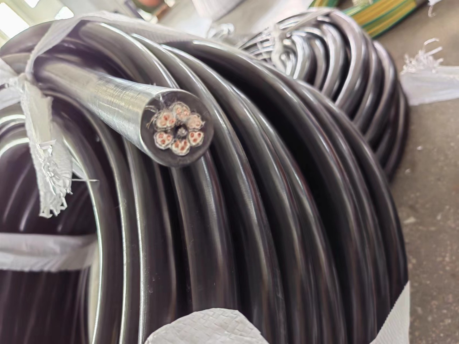 17599712875433.jpg 微信圖片_202402041123184.jpg